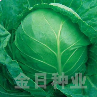 春秋宝