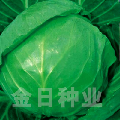 美味55